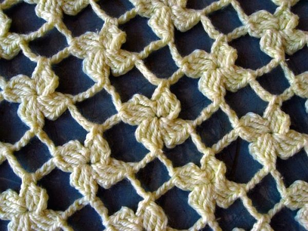 Bellis perennis intelligence overview